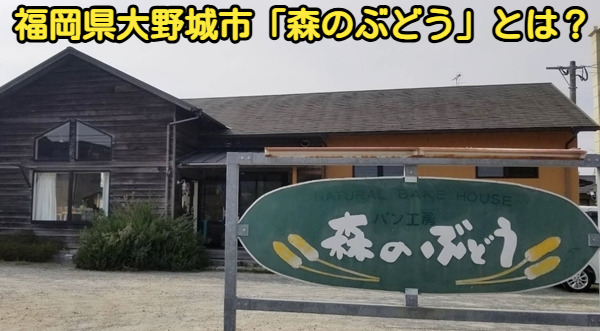 福岡県大野城市にある森のぶどうの写真