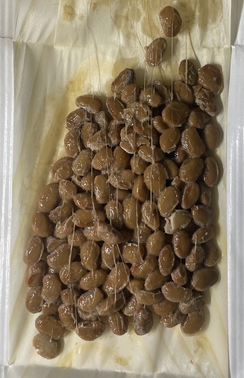 安心院じっくり納豆 納豆工房大きな豆の木