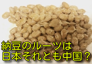 納豆のルーツは日本それとも中国？