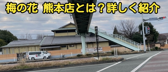 梅の花 熊本店の写真