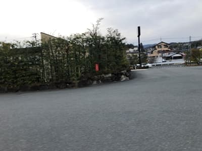 奈良県奈良市の梅の花奈良店