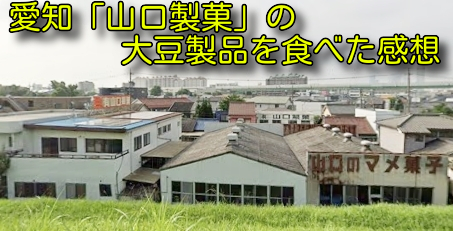 愛知「山口製菓」の大豆製品を食べた感想